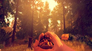 Firewatch Features Portable Tortoise