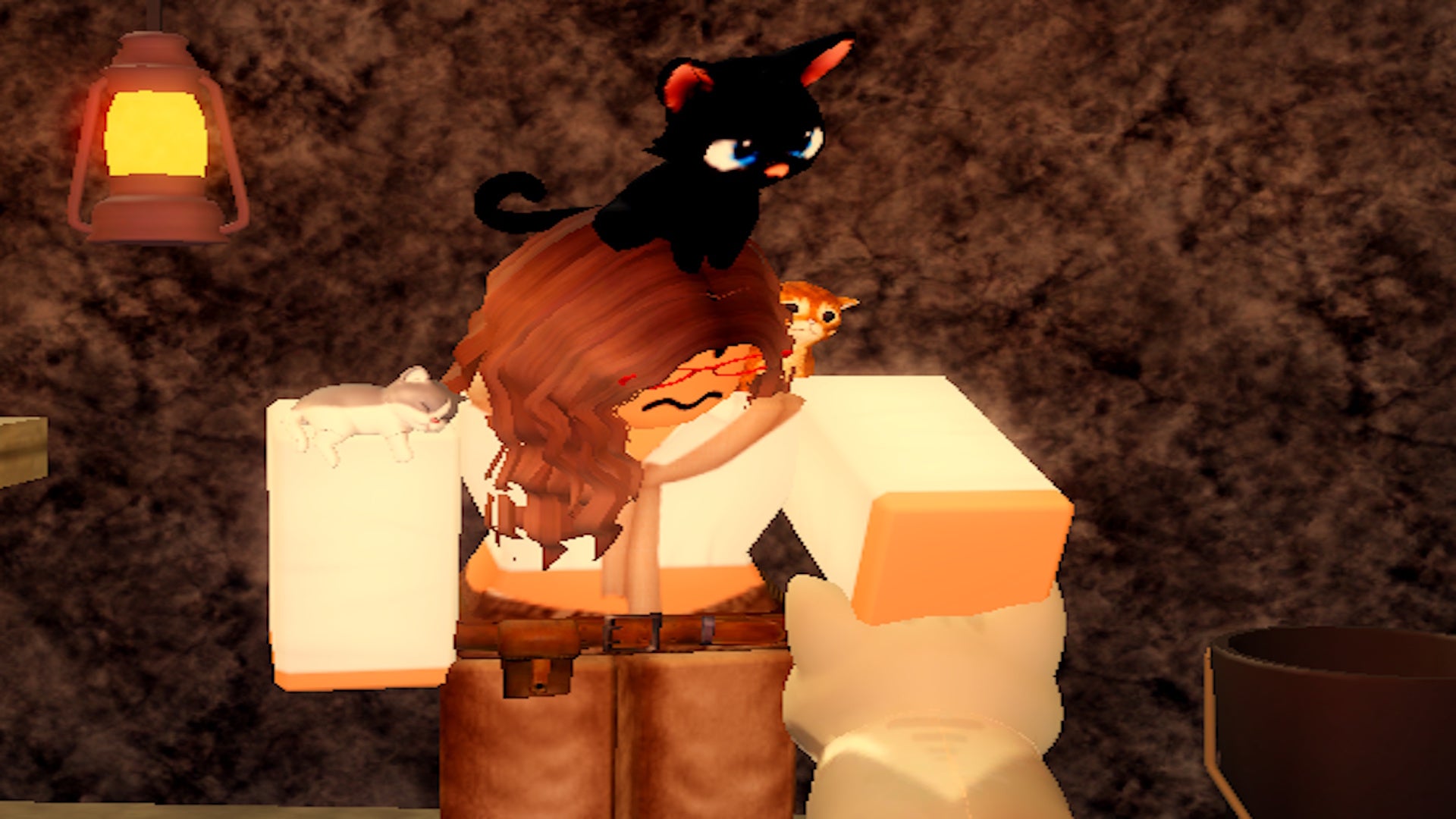 The cat lady in Fisch - 3