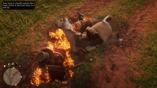 Red Dead Redemption 2 flaming horse bug inflicts a terrifying curse on Rhodes