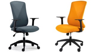 The Flexispot BS9 office chair is on sale right now