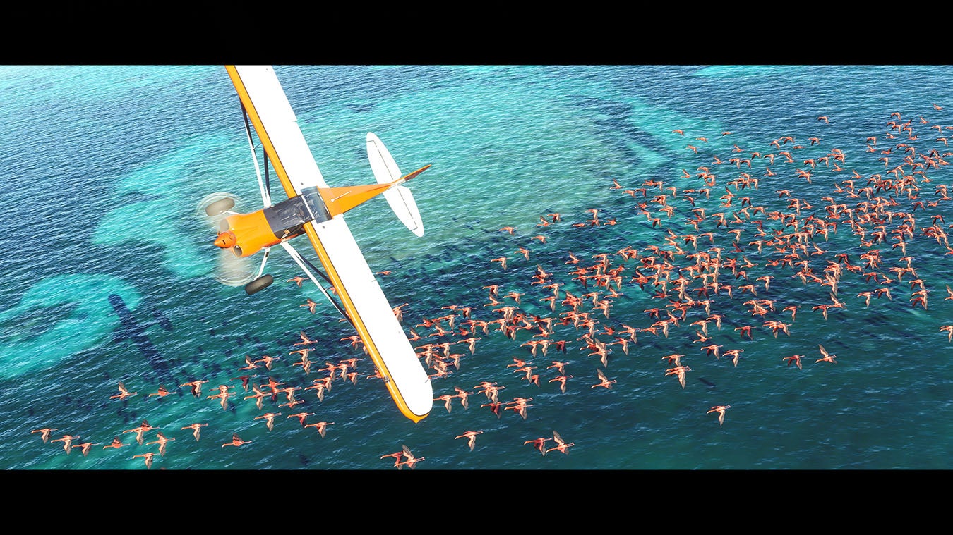 Microsoft Flight Simulator (2020) VG247
