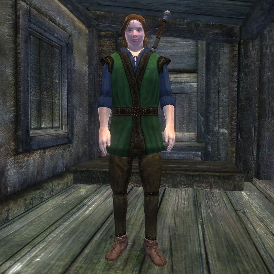Breton bard Floyd Nathan, pictured in The Elder Scrolls IV: OBlivion in green and blue clothing with a sword on his back, inside a wooden house.