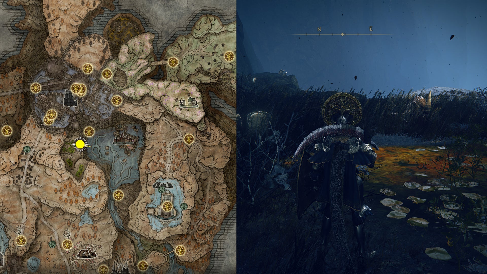 The location of Forager Brood Cookbook [5] in Elden Ring.
