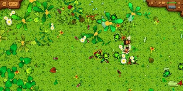 The Hive Mind: Ant Sim Formicarium Kickstarting