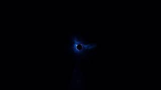 Fortnite related searches double on Pornhub during The End outage, "Black Hole" up 9640%