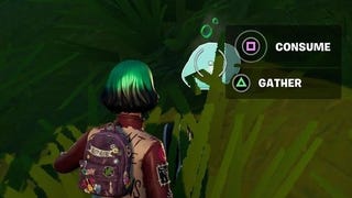 Fortnite - Collect foraged items locations: Where to forage for food, need supplies explained