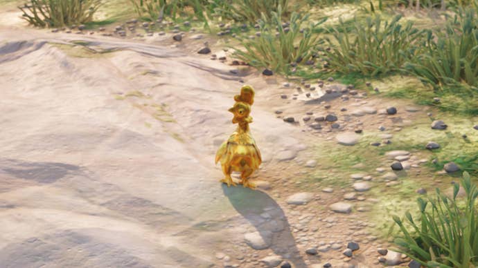 fortnite golden chicken