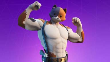Image of Fortnite character Meowscles, a muscly human with a cartoon cat head