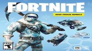 Fortnite: Deep Freeze Bundle is a retail version of Fortnite Battle Royale out in November