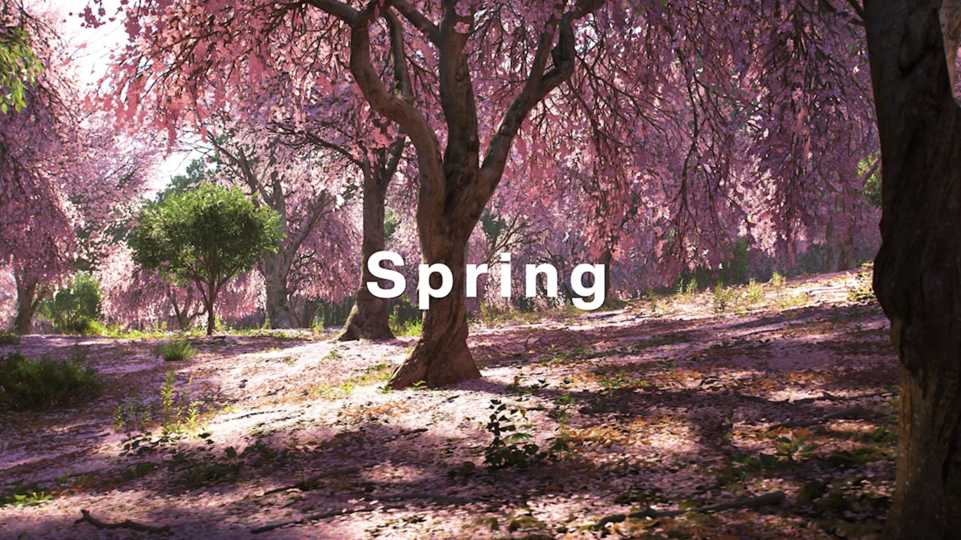 Spring Forza How to change seasons in Forza Horizon 6 | Eurogamer.net