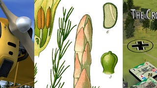 The Flare Path: Asparagus Tips