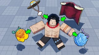 Artwork for the Roblox game Fruit Reborn showing an anime-inspired character surrounded by items they can equip.
