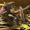 Capturas de pantalla de Monster Hunter 4 Ultimate