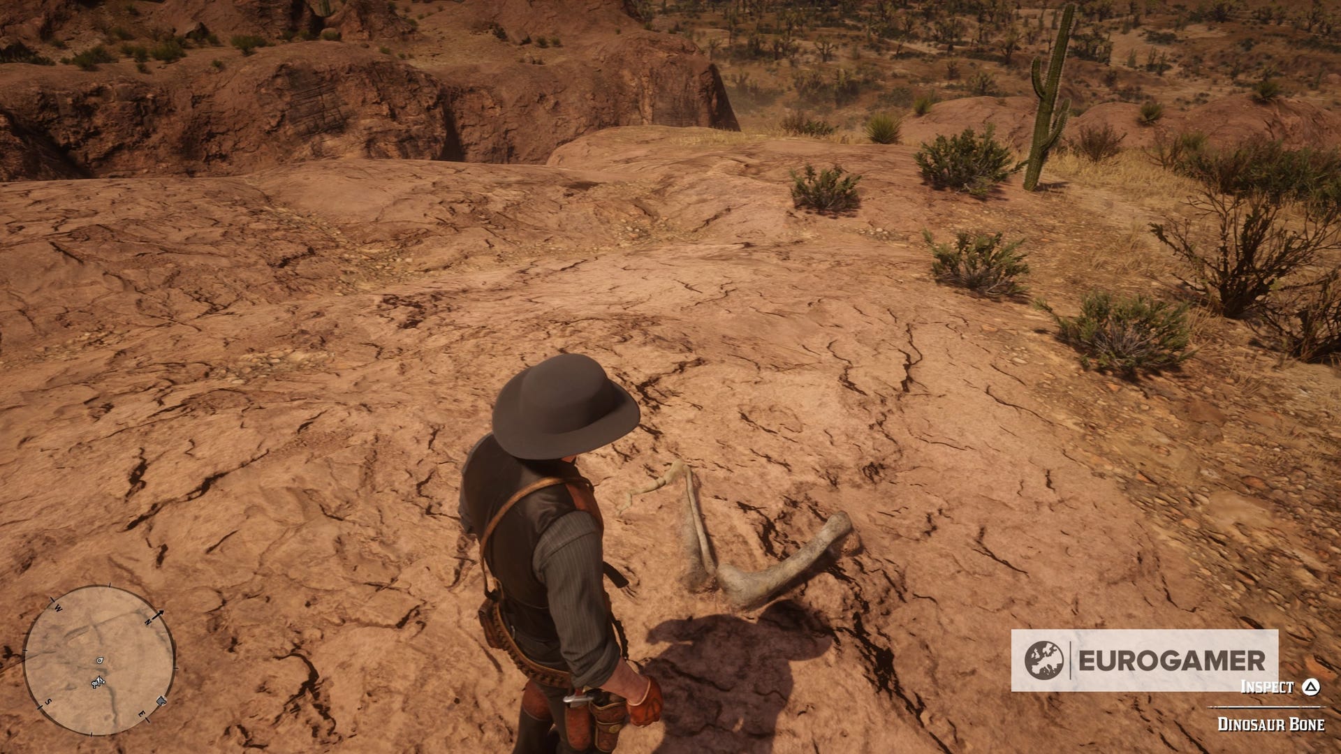 Dinosaur Bone Locations Red Dead Redemption 2 Red Dead Redemption 2 Dinosaur Bone locations and map | Eurogamer.net