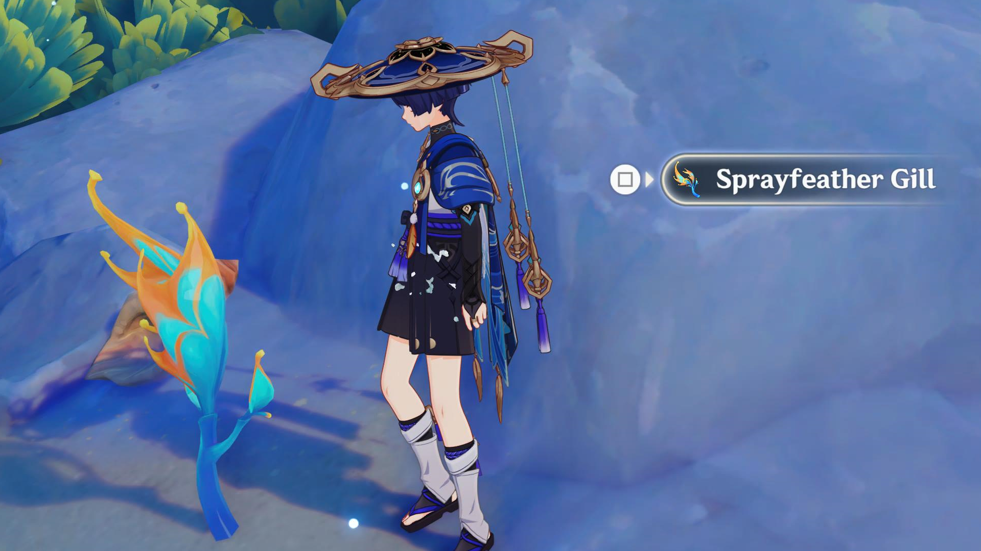 Genshin Impact screenshot showing a character and a Sprayfeather Gill node