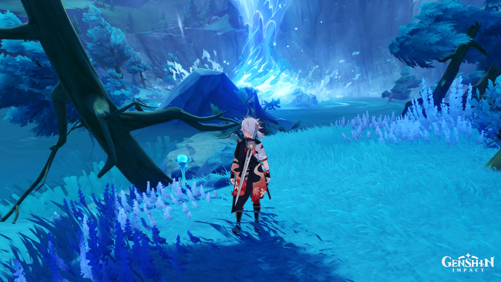 Genshin Impact Lakelight Lily locations and Lakelight Lily farming tips - 4