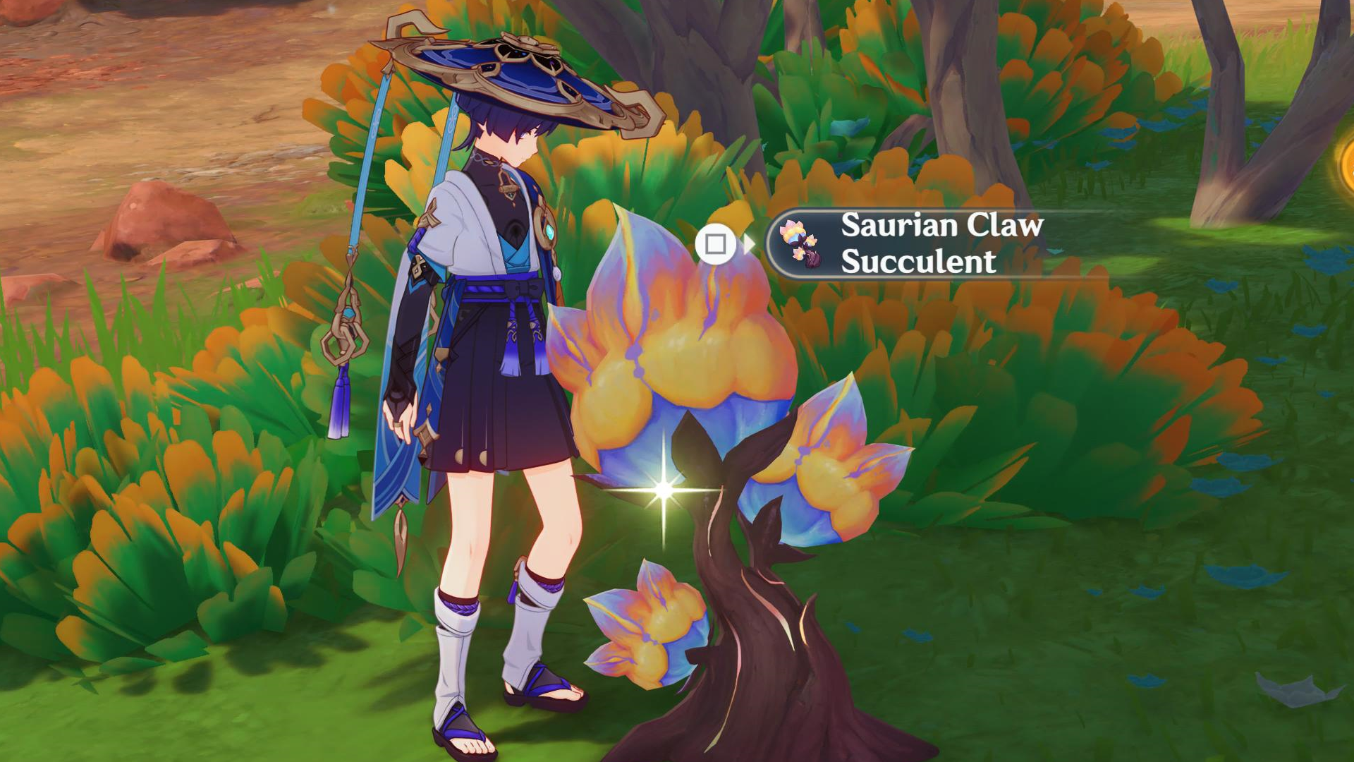 Genshin Impact screenshot showing a character beside a Saurian Claw Succulent node