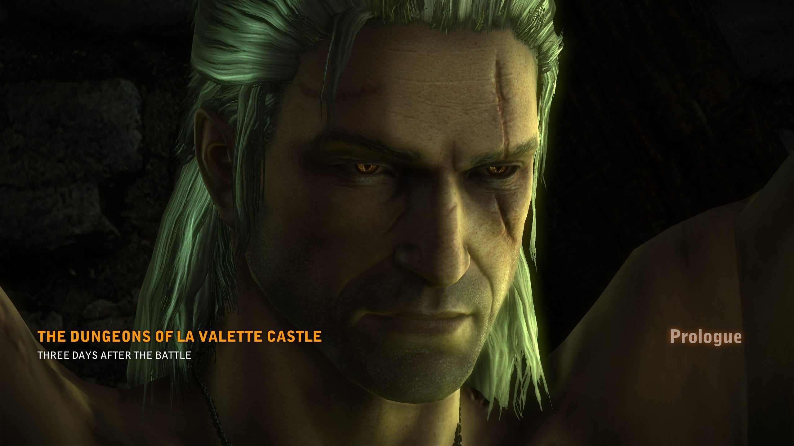 Um close do rosto de um homem de cabelos brancos, que tem uma grande cicatriz horizontal no olho direito. Ele tem corujas semelhantes a gatos. É Geralt no Witcher 2.