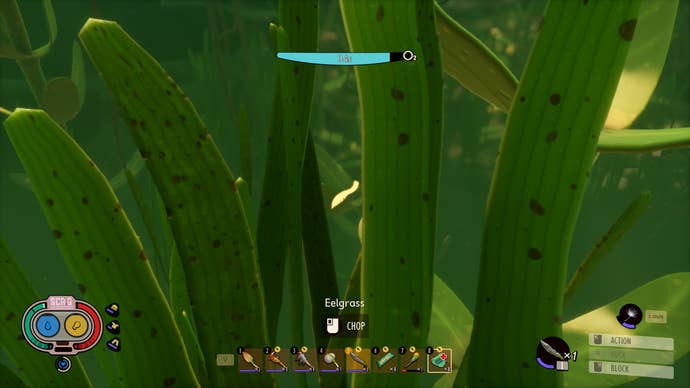 Some underwater Eelgrass in Grounded