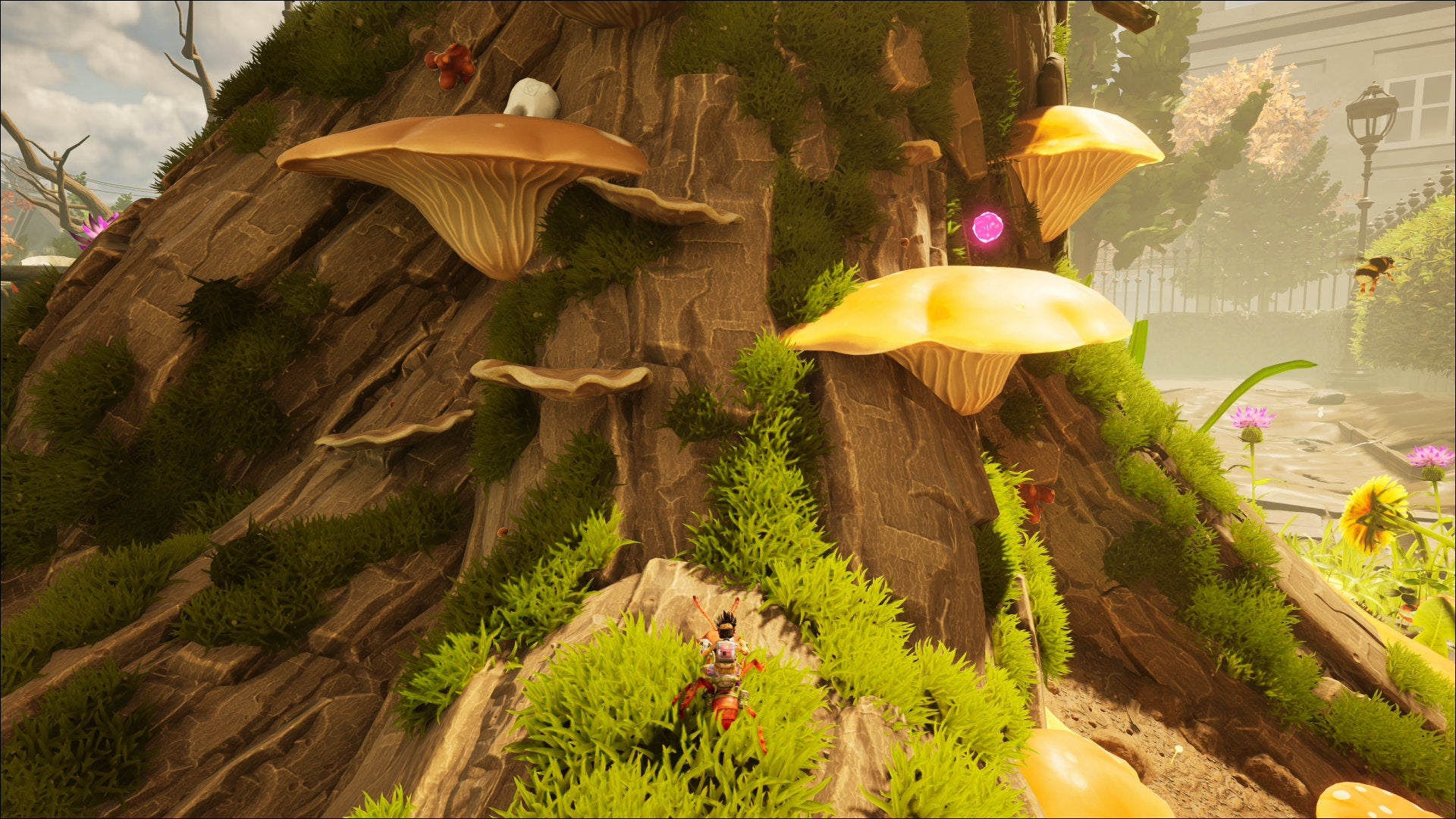 Searching for a Milk Molar in the Entrance region of Grounded 2 - 92