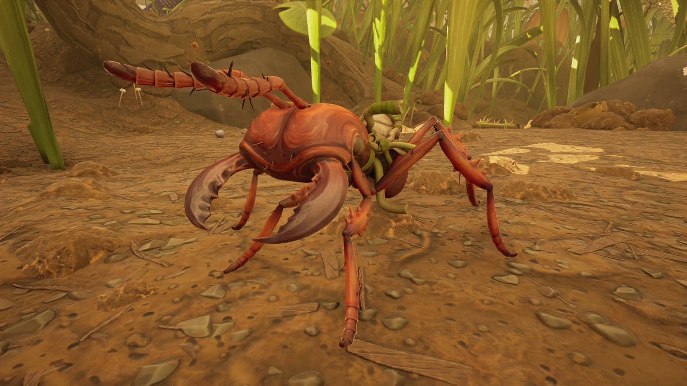 How to get a Red Soldier Ant Egg in Grounded 2 | Rock Paper Shotgun