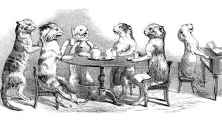 A wood engraving of a group of stuffed cats having a tea party from the book The Crystal Palace, And Its Contents, 1852
