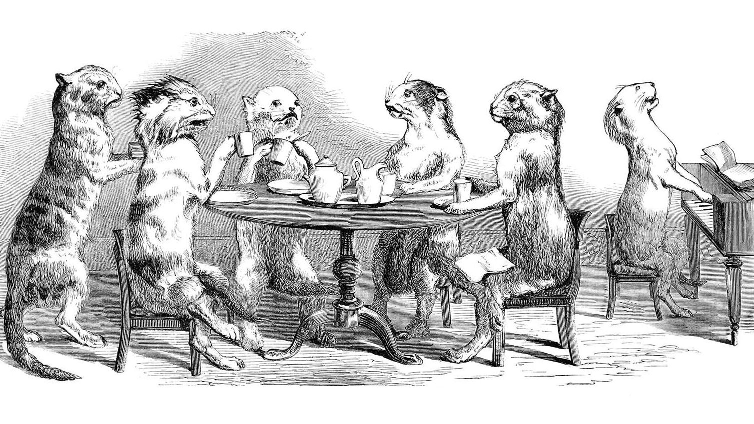 A wood engraving of a group of stuffed cats having a tea party from the book The Crystal Palace, And Its Contents, 1852 - 1