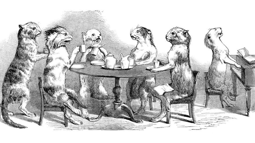 A wood engraving of a group of stuffed cats having a tea party from the book The Crystal Palace, And Its Contents, 1852