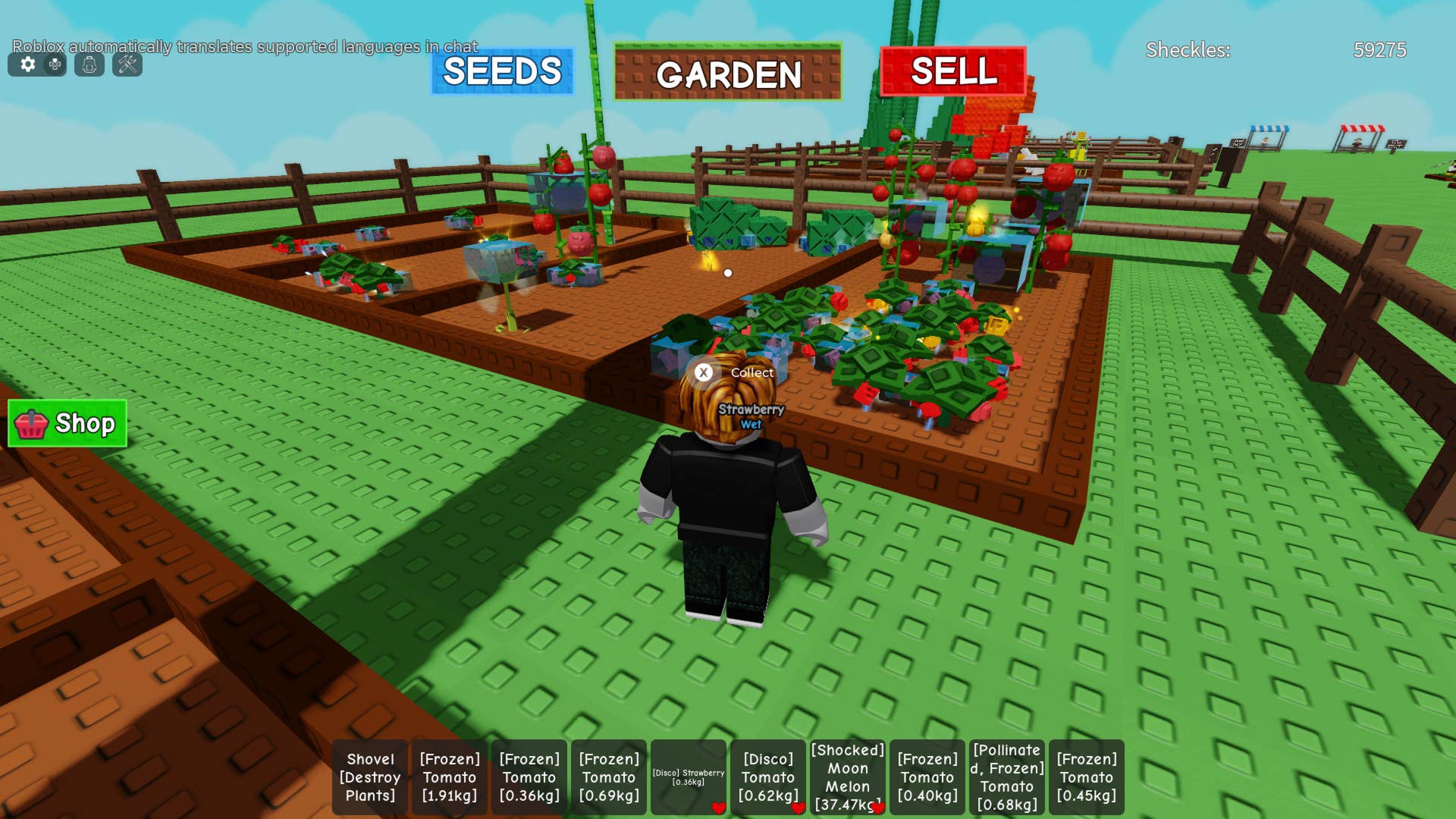 Grow a Garden Heavenly Jandel and Heavenly mutation explained ...