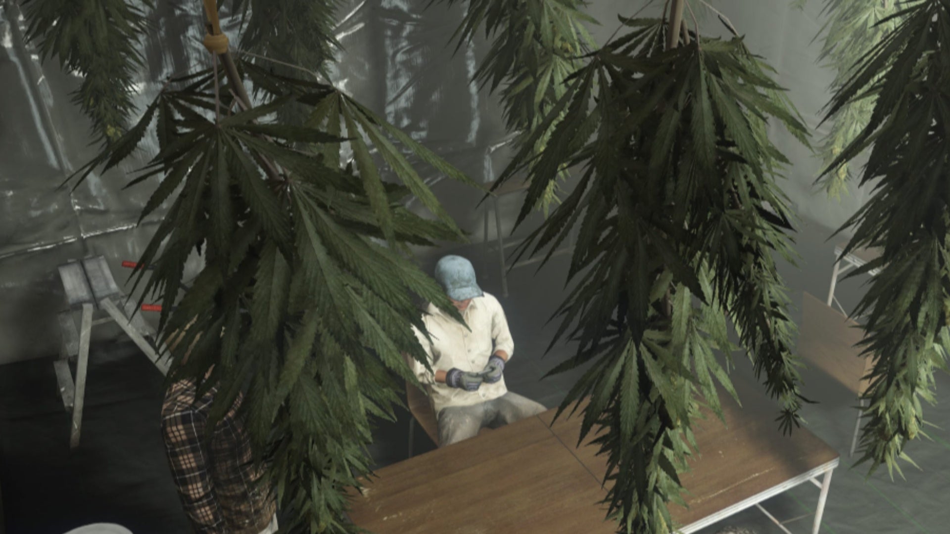 gta online biker business weed farm