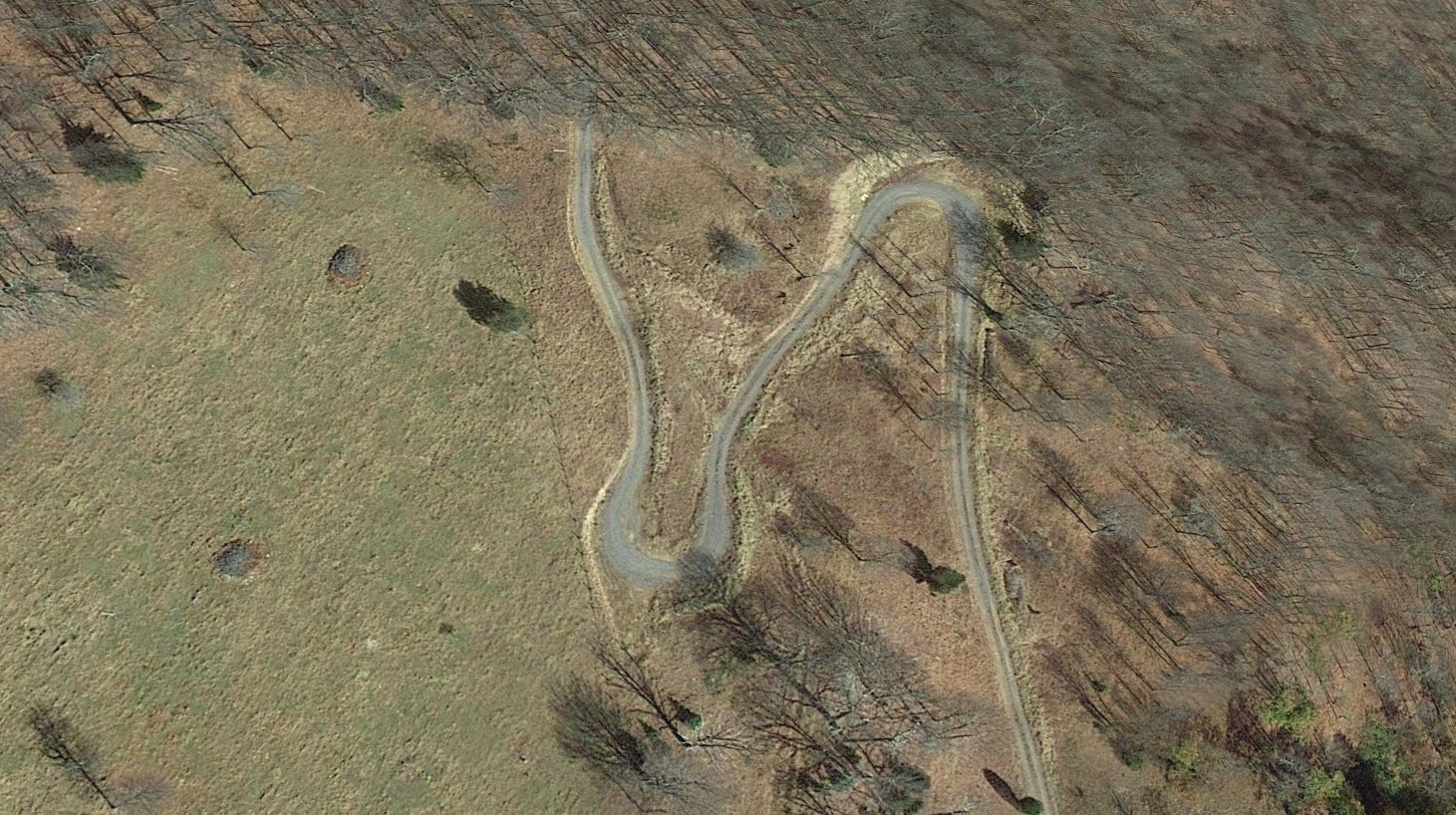 GTA Online trailer bevat mogelijk hint naar GTA 6