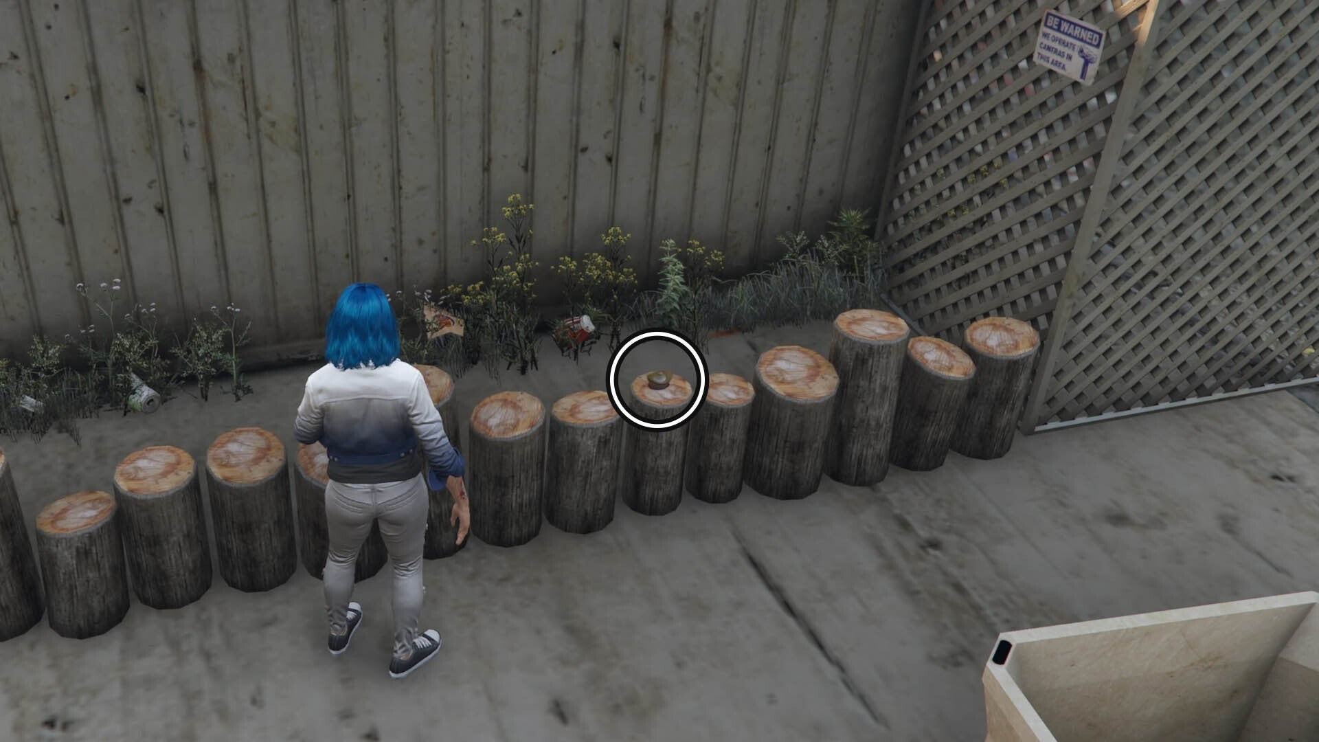 gta online yuanbao fourteen location on stumps beside alamo fruit market