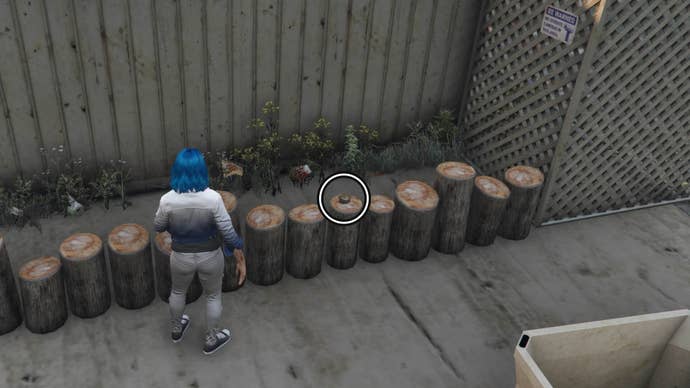gta online yuanbao fourteen location on stumps beside alamo fruit market