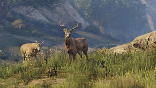 GTA 5 PS4 grass vs Xbox One grass - Digital Foundry compares the outdoors 