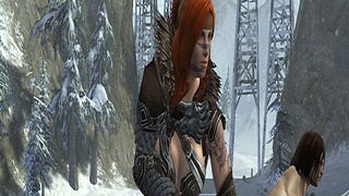NCsoft announces pre-purchase program, collector's edition for Guild Wars 2 