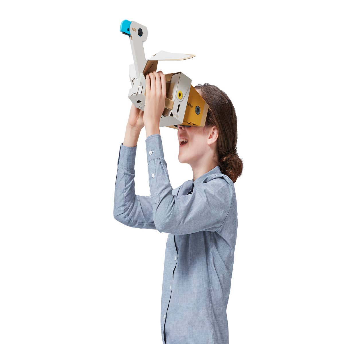 Breath of the Wild' Coming to VR With Nintendo Labo Kit