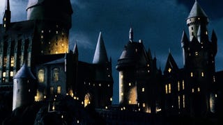 A Hardcore Harry Potter Fan's Pressing Questions About the Leaked Harry Potter Game Footage