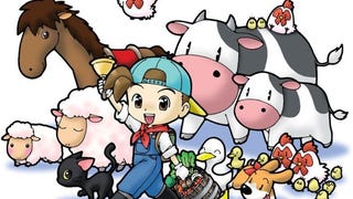 Natsume to release more Game Boy Color games on 3DS Virtual Console