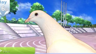 Fancier Pigeons: Hatoful Boyfriend Has Flown The Coop