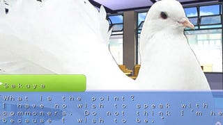 Bird Watching: The Pigeon Dating Sim