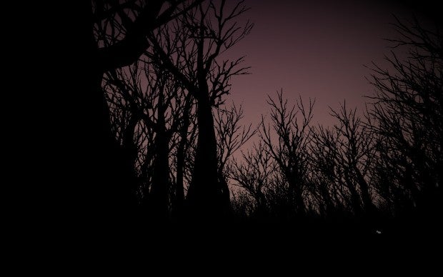 Live Free Play Hard: Itself An Additional Puzzle