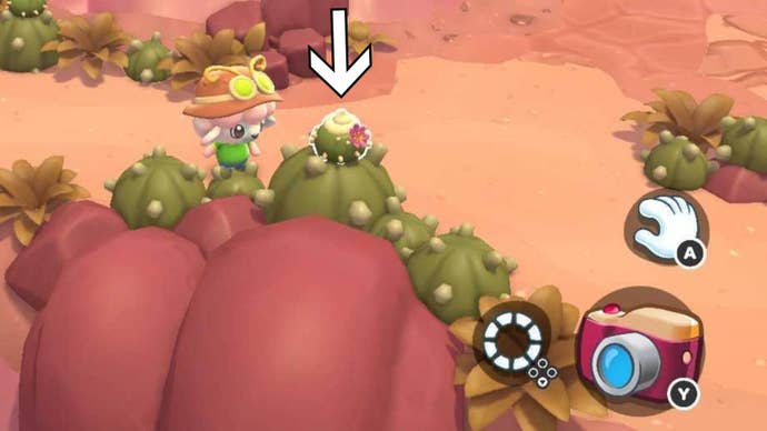 hello kitty island adventure cactus cream location on top of cacti