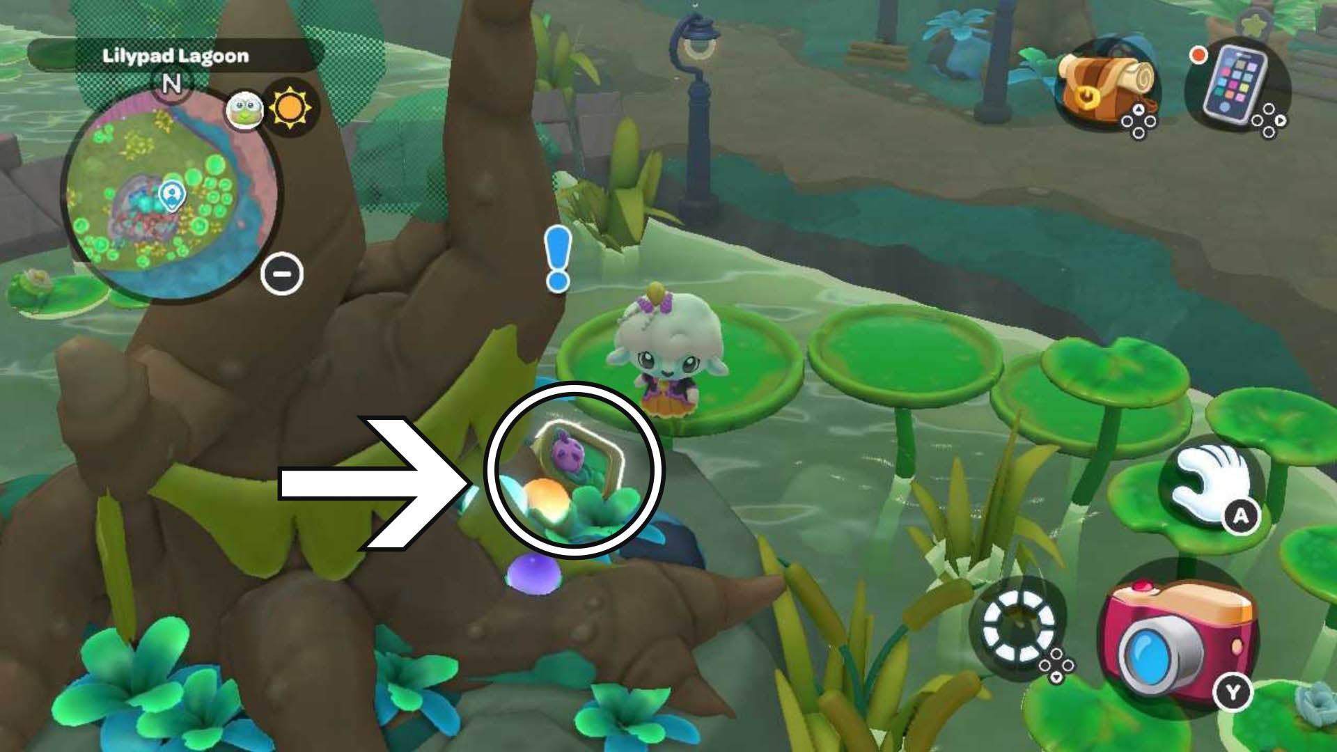 hello kitty island adventure swamp critter list location by tree