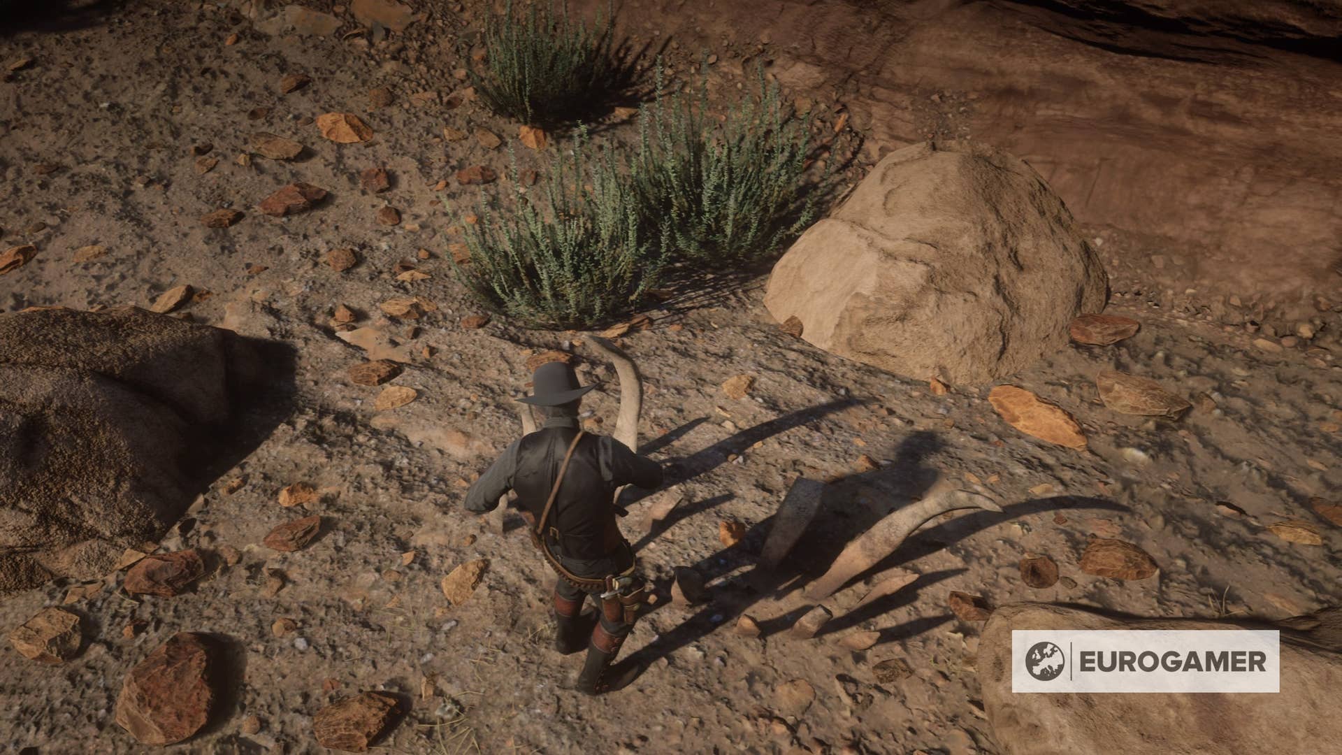 Red Dead Rigs Bones Red Dead Redemption 2 Dinosaur Bone locations and map | Eurogamer.net