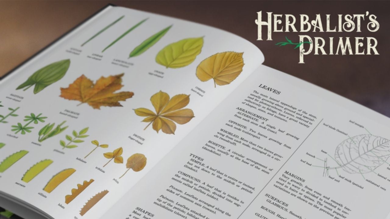 Herbalist's Primer RPG – Guía Ilustrada De Plantas Mágicas Para Juegos De Rol, Escritores Y Amantes De La Botánica