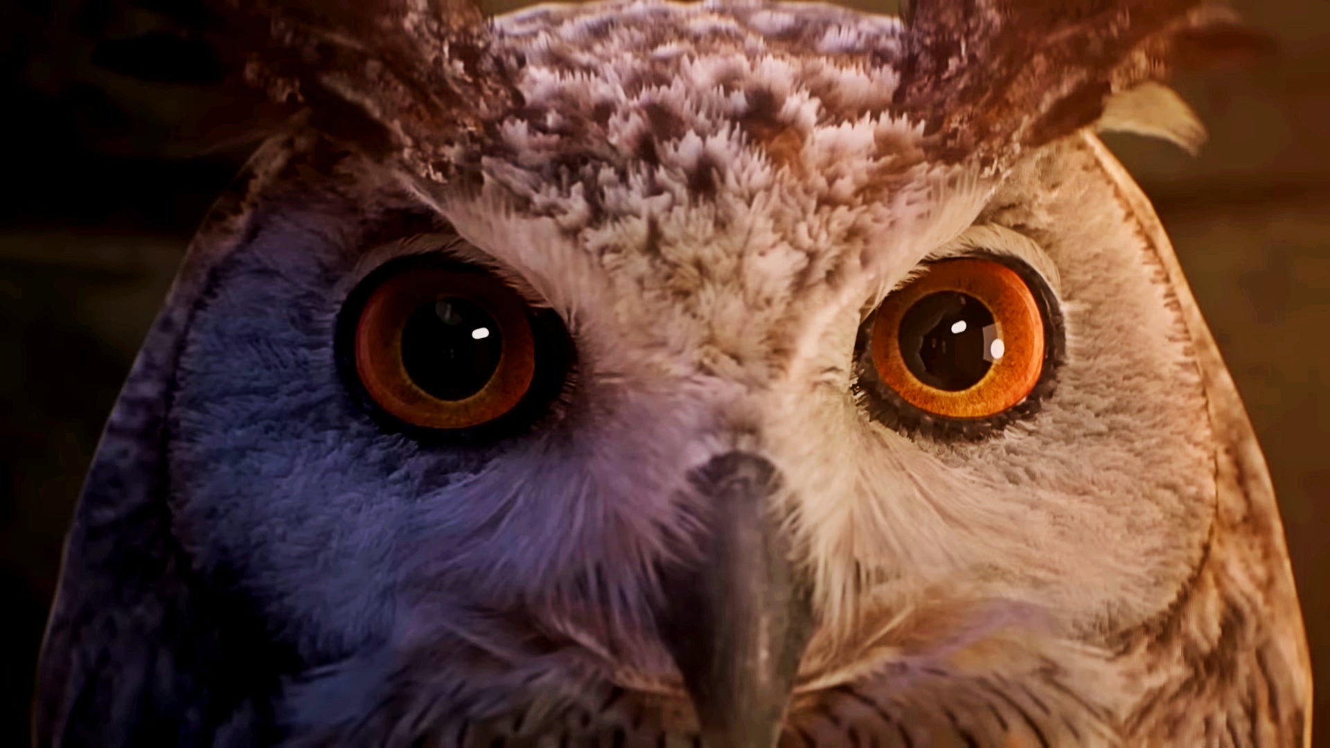 Ein-Jahr-Xbox-Game-Pass-Ultimate-gewinnen-Tag-6-Melanie-empfiehlt-Hogwarts-Legacy-und-Hollow-Knight-Silksong