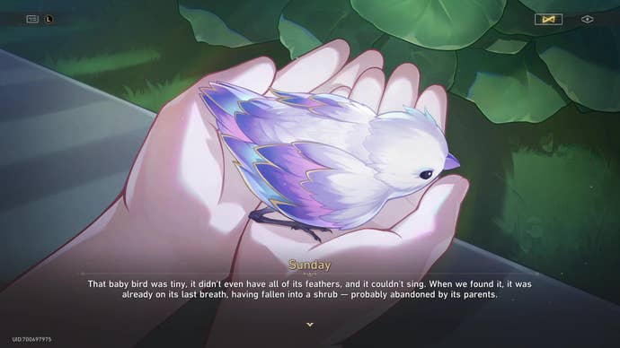 A small white bird with vibrant blue, pink, and purple feathers, cupped in a child’s hand against a background of leaves.