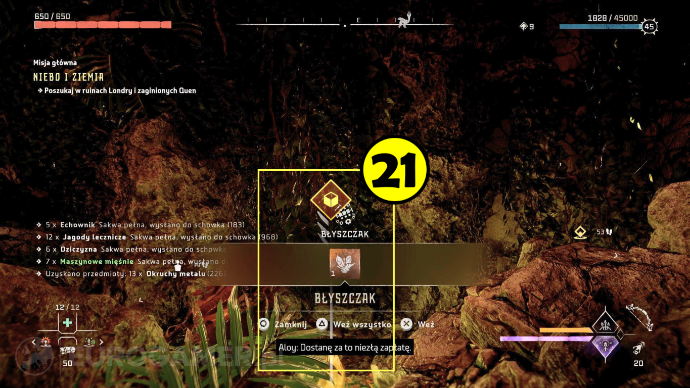 Horizon Burning Shores - Niebo i Ziemia | Eurogamer.pl