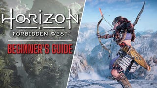 15 tips I wish I knew before playing Horizon Forbidden West
