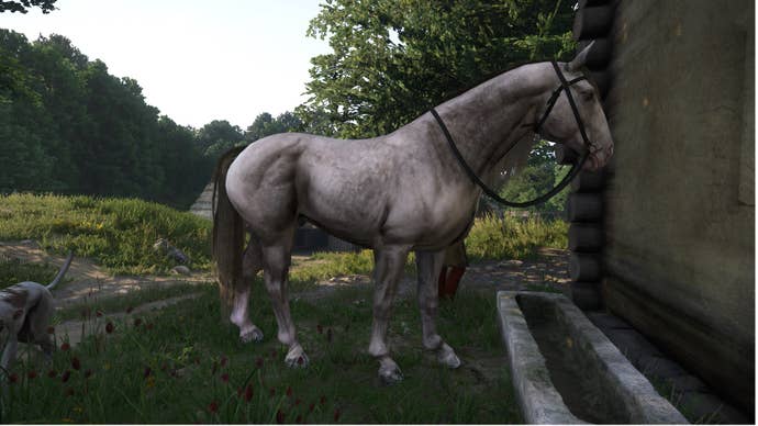 Horse in Kingdom Come Deliverance 2